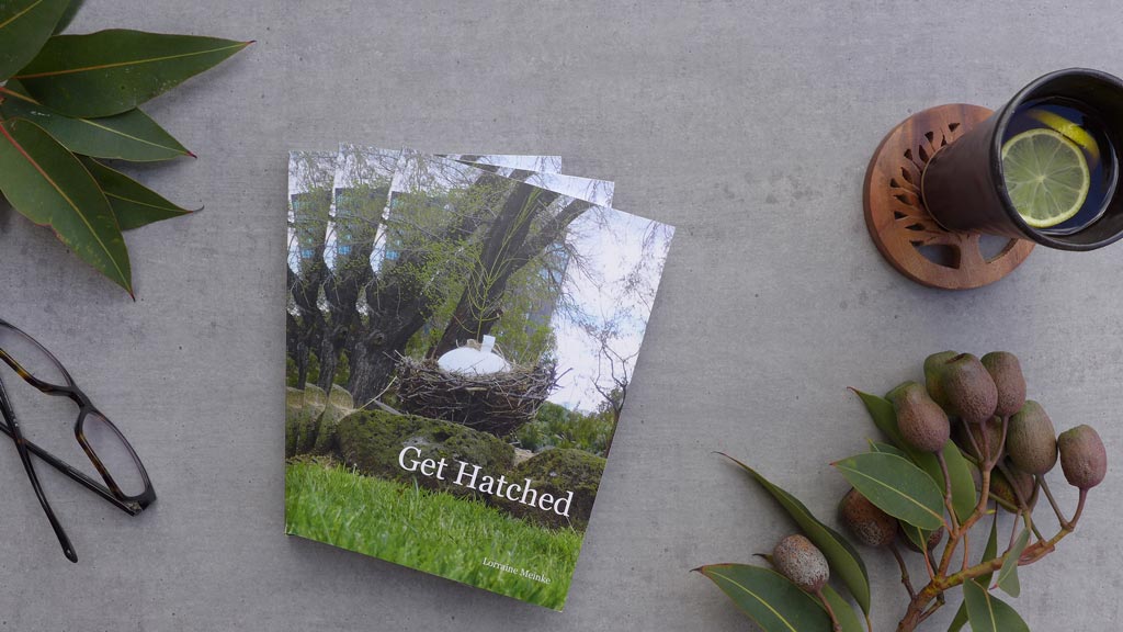 LMeinkeGetHatchedArtistsBookBlog LMeinkeGetHatchedArtistsBookBlog