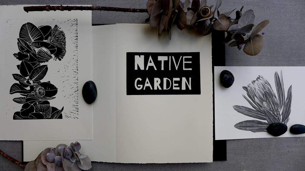 LMeinkeKnoxImmerse2019HomeGrown01Blog Eucalyptus linocut print, Native Garden Artists' Book and Protea graphite pencil drawing.
