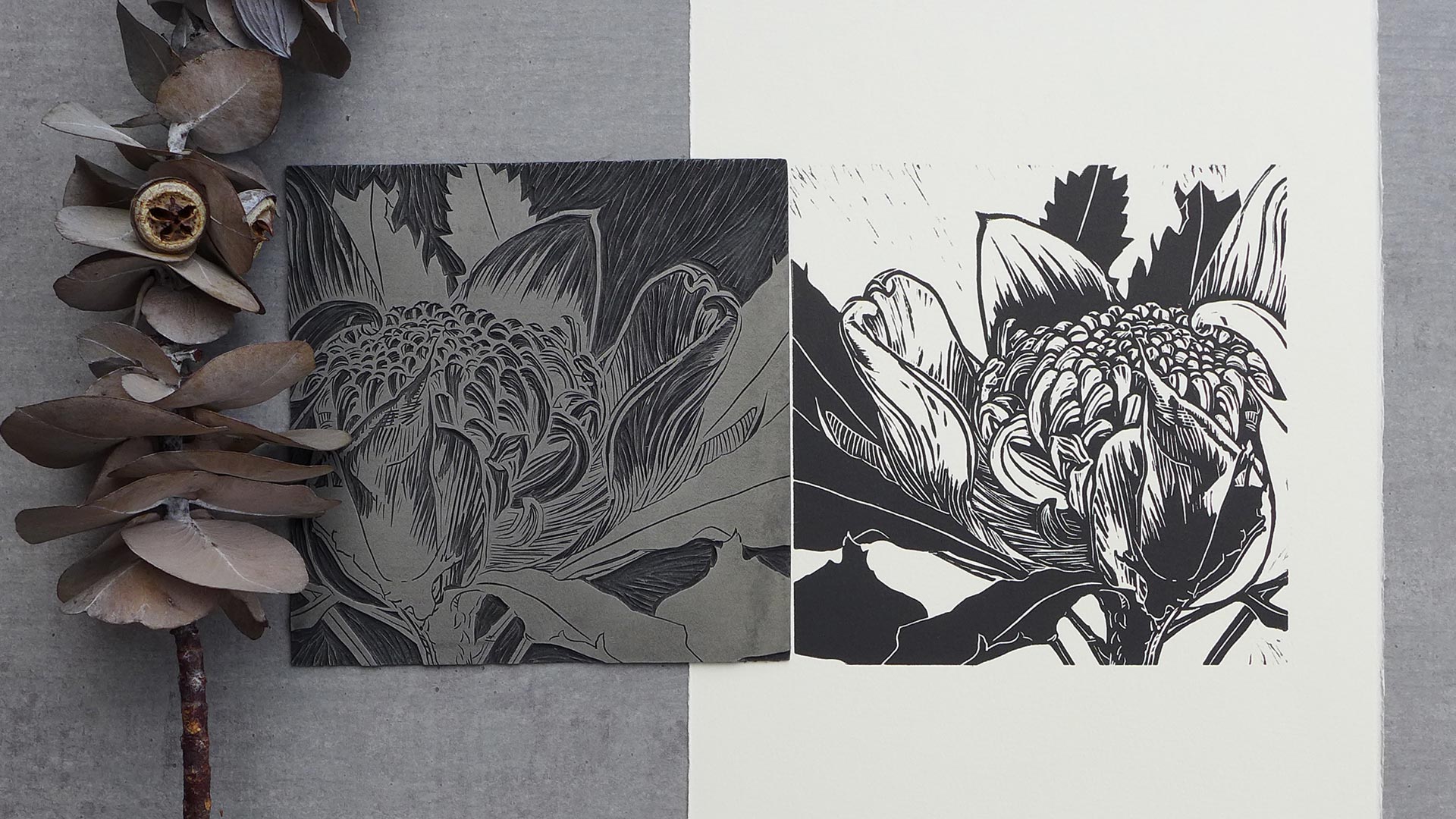 Waratah hand carved lino block and print